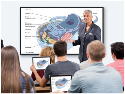 viewsonic Écran de présentation Viewsonic 43 pouces 4K - CDE4330