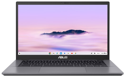 ASUS - Intel - 8 GB RAM SSD 512 - 14 pouces