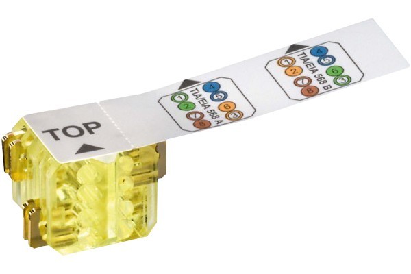 MCAD-LKD9A5040100000-Cables et connectiques/Connectique RJ