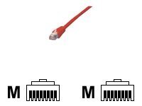 MCL Samar Cable Reseau 50 Cm Taille 5 Rouge de Inmac Wstore