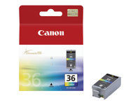 Canon CLI - vue 7