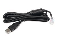 APC - cable USB - USB pour RJ-45 (10 broches) - 1.8 m