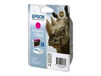 Epson Cartouches Jet d'encre d'origine C13T10034010
