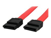 StarTech.com Cable SATA de 46 cm - Cordon Serial ATA en rouge - cable SATA - 45.8 cm