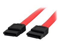 StarTech.com Cable Sata De 15 Cm Cordon Serial Ata En Cable Sata 15 Cm 15Cm Rouge de Inmac Wstore