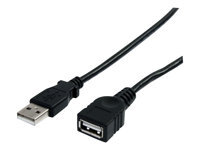 StarTech.com Cable d'extension USB 2.0 A vers A de 1,8 m - Rallonge USB - M/F - rallonge de cable USB - USB pour USB - 1.8 m