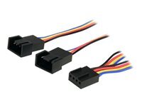 StarTech.com Cable repartiteur en Y pour ventilateurs 4 broches de 31 cm - F/M - repartiteur d'alimentation de ventilateur - MLI a 4 broches pour MLI a 4 broches - 31 cm