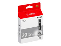 Canon InkPGI 29 Cartridge GY - vue 3