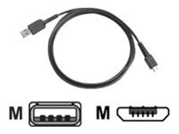 Zebra - cble USB - USB pour Micro-USB de type B