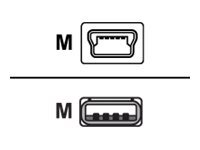 Zebra Cable Usb Taille 4 de Inmac Wstore