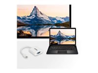 ATEN VC920 - Adaptateur DisplayPort - 20 cm