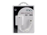 Convertisseur actif mini DisplayPort Mâle vers DVI-D