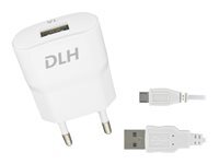 DLH Energy Chargeurs compatibles  DY-AU1870