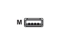 Datalogic cble USB - 2 m