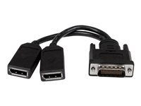 StarTech.com DMS-59 to DisplayPort - 8in - DMS 59 to 2x DP - Y Cable - DMS-59 Adapter - DisplayPort Splitter Cable - LFH Cable (DMSDPDP1) - repartiteur d'ecran - 20.3 cm