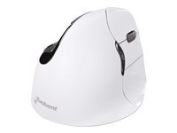 Evoluent VerticalMouse 4 Right Mac - souris verticale - Bluetooth - blanc