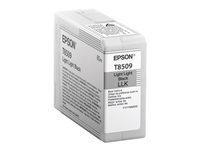 Epson Jet d'encre Grand Format C13T850900