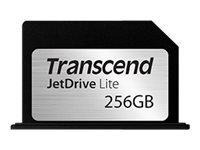Transcend Disques durs internes TS256GJDL330
