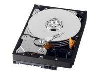 WD AV WD5000AURX - disque dur - 500 Go - SATA 6Gb/s -