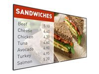 Philips Signage Solutions P-Line 49BDL5055P 49 Classe (48.5 visualisable) ecran DEL