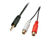 Lindy Premium adaptateur audio - 25 cm