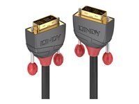 Lindy Anthra Line - cable DVI - DVI-D pour DVI-D - 10 m