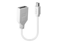 Lindy - Adaptateur Mini DisplayPort vers DisplayPort - 15 cm - Blanc - Image 3