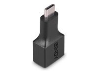 Lindy Adaptateur De Type C Usb Usb Type A Pour Pin Usb-C Taille 24 de Inmac Wstore