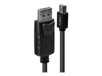 Lindy Câble mini DP vers DP 3m Neuf