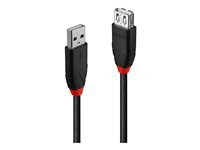 Lindy Rallonge USB 2.0 amplifiée 5m