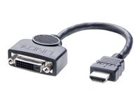 Lindy Adaptateur Video 20 Cm 20Cm de Inmac Wstore