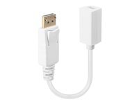 Lindy Adaptateur Displayport 15 Cm 15Cm Blanc de Inmac Wstore