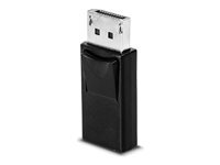 Lindy Adaptateur DisplayPort