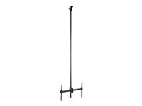 StarTech.com Support plafond pour TV - Poteau long
