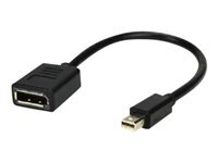 MCL Samar Cable Displayport 15 Cm 15Cm de Inmac Wstore