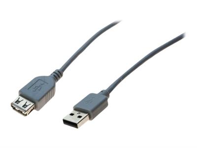 Rallonge USB 2.0 grise - 3,0 M