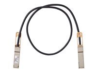 Cisco 100GBASE-CR4 Passive Copper Cable - cable a attache directe - 1 m