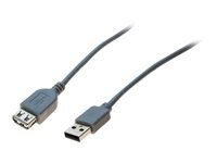 Rallonge USB 2.0 grise - 5,0 m