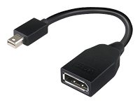 Lenovo 4X90L13971 câble DisplayPort Mini DisplayPort Noir - vue 6