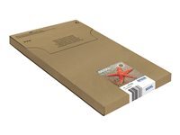 Epson Pack cartouches d'encre – 4 couleurs - vue 3