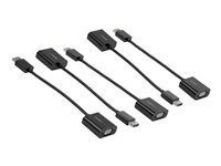 StarTech.com 5-Pack Displayport To Vga Adapter, Displayport Hbr2 To Vga Active Adapter, Digital Dp To Analog Vga Video Converter Dongle, Displayport Male To Vga Female Monitor Adapter Active Dp To Vga (Dp2vga3x5) Adaptateur Video Displayport Taille 1.2 d - Image 1
