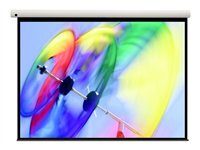 Optoma Panoview Pull Down Manual DS-3100PMG+ - cran de projection - 100" (254 cm)