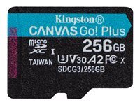 Kingston Canvas Go ! Plus SDCG3/256GBSP