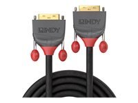 Lindy Produits Lindy 36242