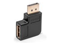 Lindy 41334 changeur de genre de câble DisplayPort
