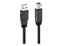 Lindy - cable USB - USB type A pour USB Type B - 10 m