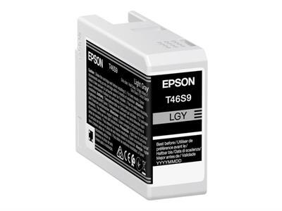 Epson UltraChrome Pro T46S9 - gris clair - original - rservoir d\'encre