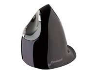 Evoluent VerticalMouse D Medium - souris verticale - USB