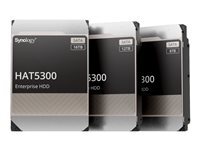 Synology Pieces detachees Synology HAT5300-12T