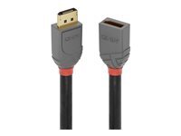 Lindy Anthra Line - rallonge de cable DisplayPort - DisplayPort pour DisplayPort - 50 cm